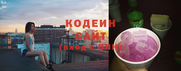 эйфоретик Алзамай