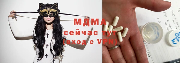 прущие грибы Вязники