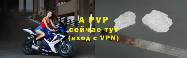 дмт Алексин