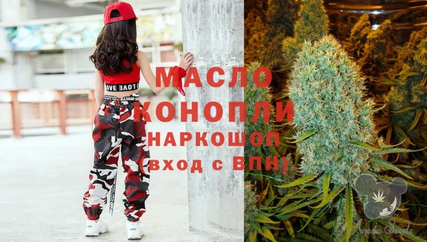 дмт Алексин