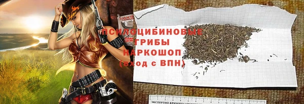ГАЛЛЮЦИНОГЕННЫЕ ГРИБЫ Абдулино