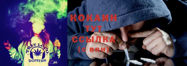 дмт Алексин