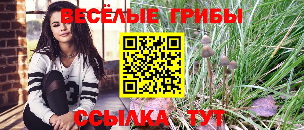 Псилоцибиновые грибы GOLDEN TEACHER  Вход с VPN  Дивногорск 