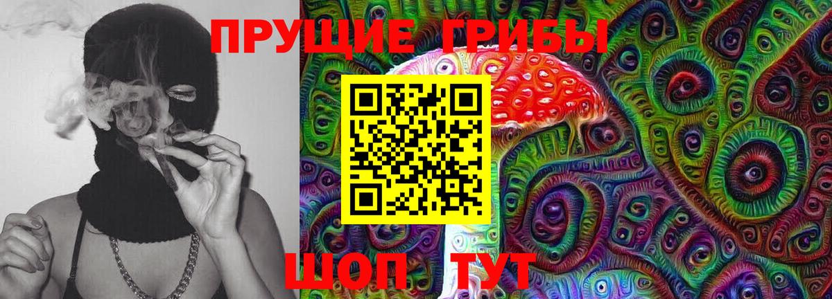 Галлюциногенные грибы Cubensis Дивногорск
